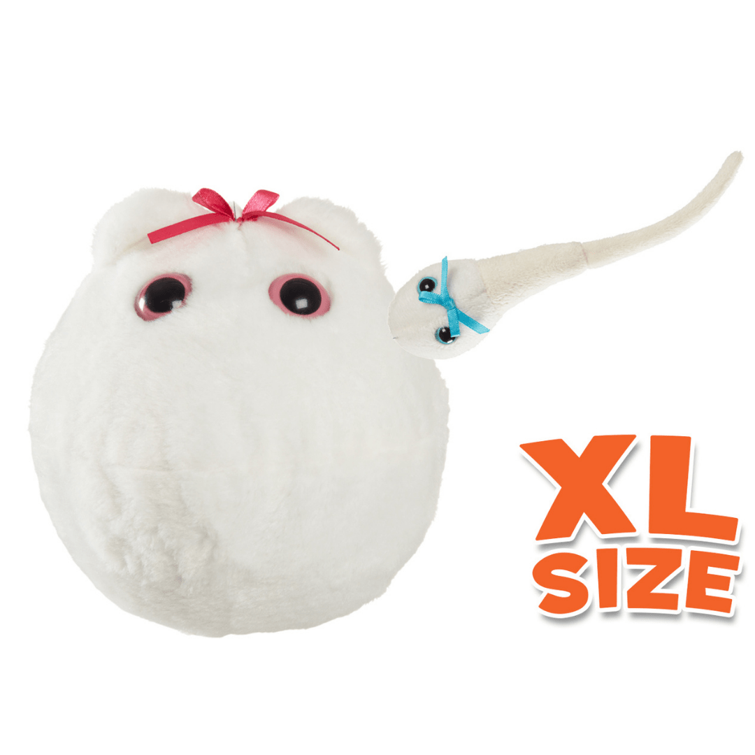 Egg Cell XL 15cm & Mini Magnetic Sperm Cell | Giant Microbes Plush ...