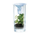 4M_green_science_clean_water_science_kit_plant