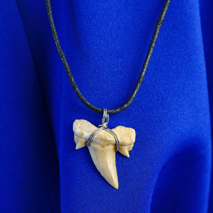 Fossil Shark Tooth Pendant