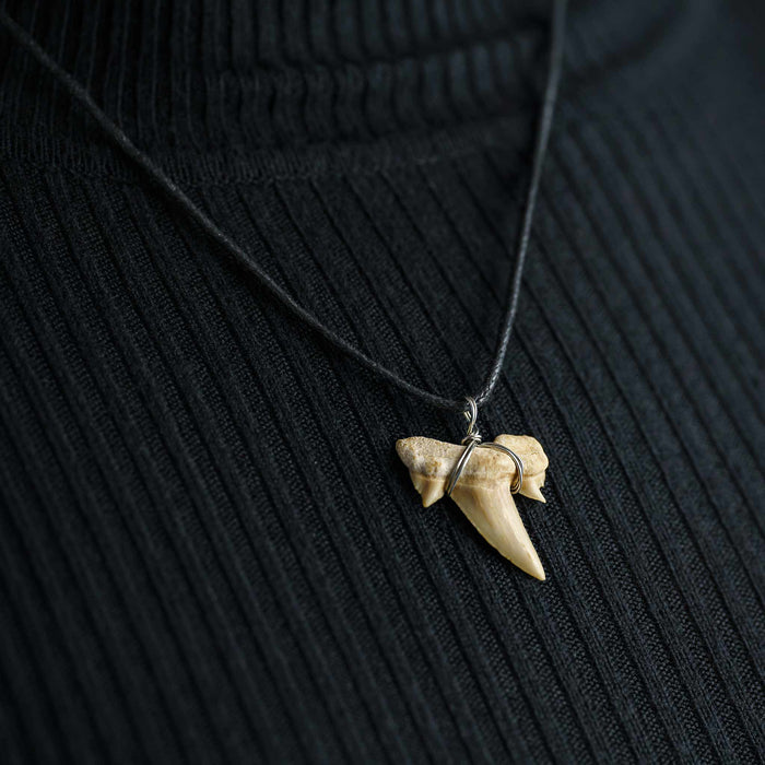 Fossil Shark Tooth Pendant