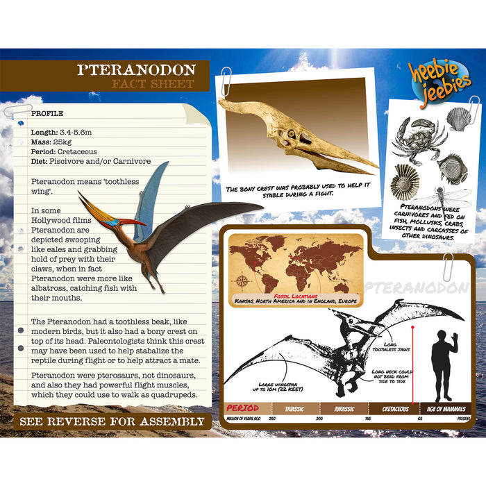 Dinosaur Wood Kit Small Pteranodon