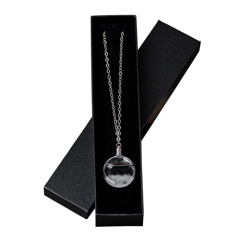 Heebie Jeebies | Fitzroys Storm Glass Necklace