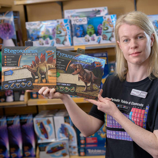 Dinosaur Wood Kit Small Tyrannosaurus presented