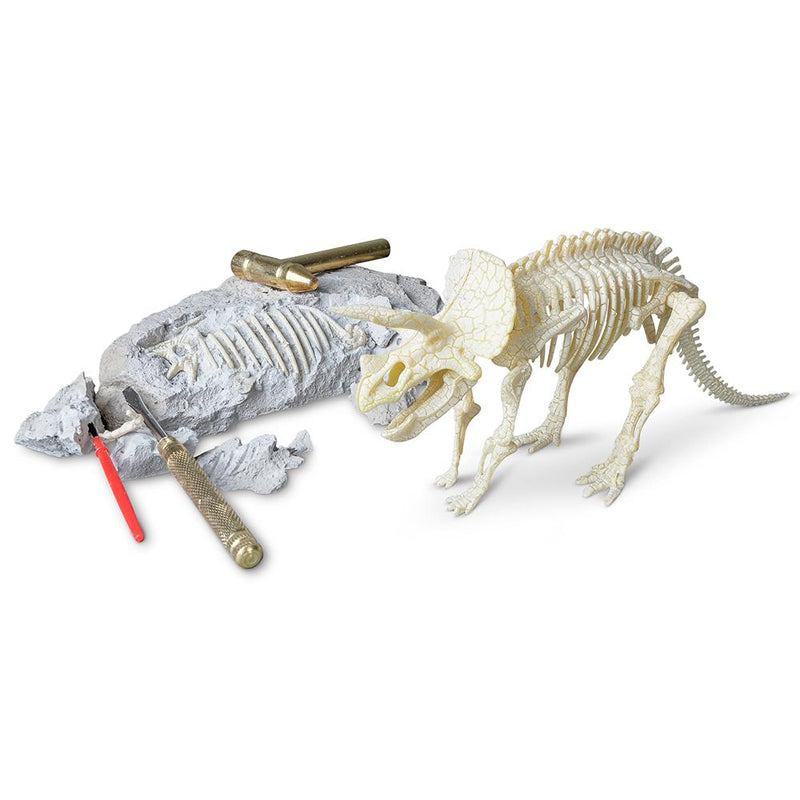 Heebie Jeebies | Triceratops Palaeontology Kit