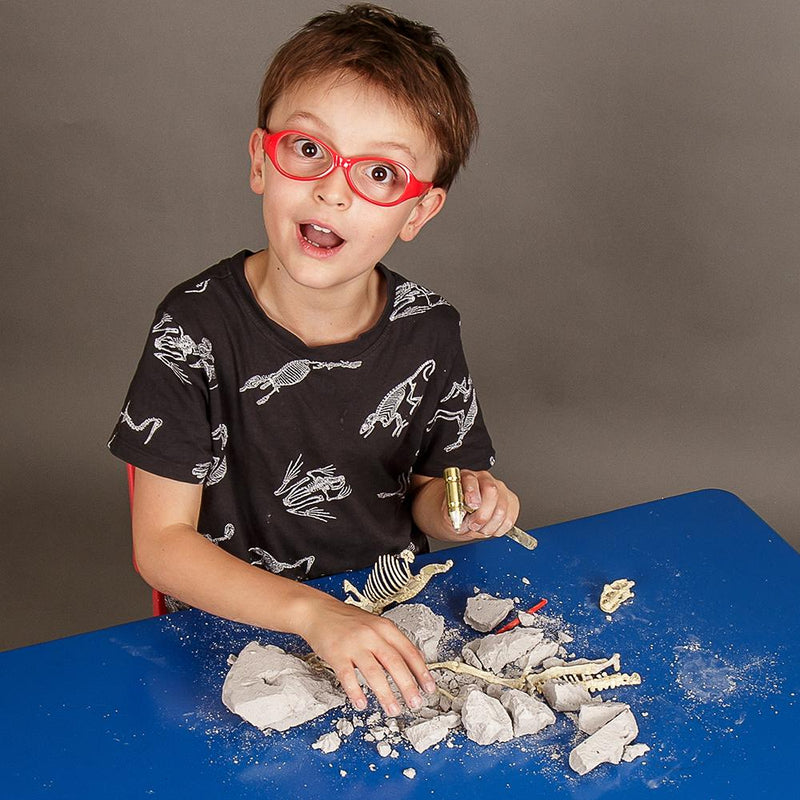 Heebie Jeebies | Triceratops Palaeontology Kit
