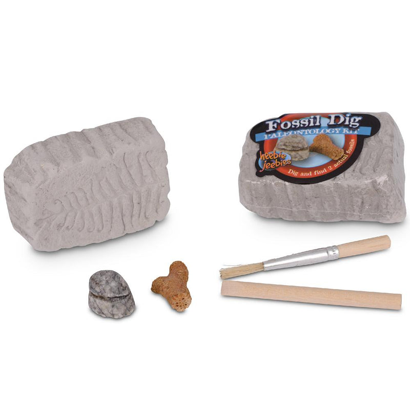 Heebie Jeebies | Fossil Dig Mini Paleo Kit