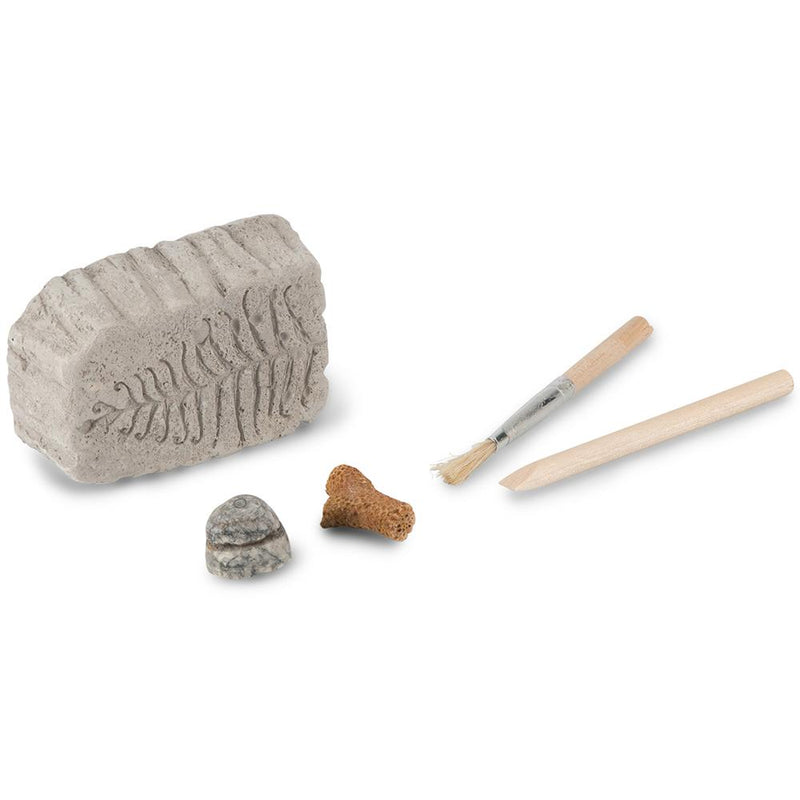 Heebie Jeebies | Fossil Dig Mini Paleo Kit