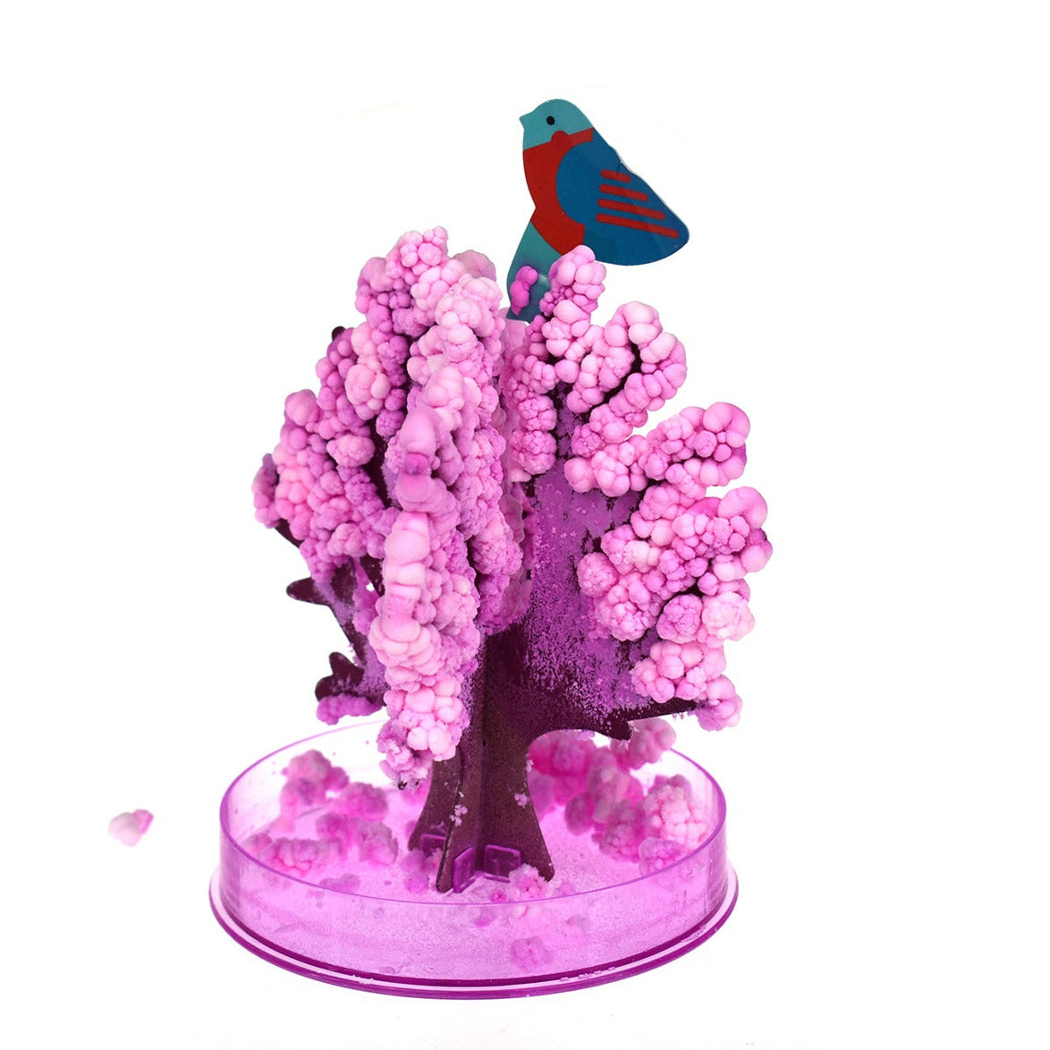 Magic Growing Sakura Tree — Professor Plums