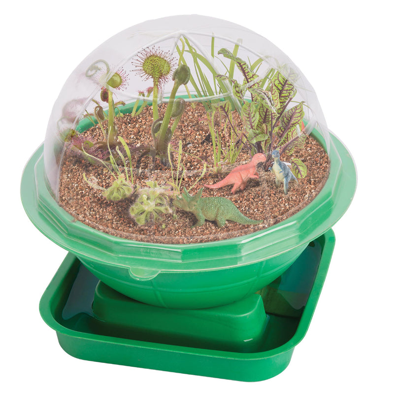 Terra Sphere Carnivorous Garden