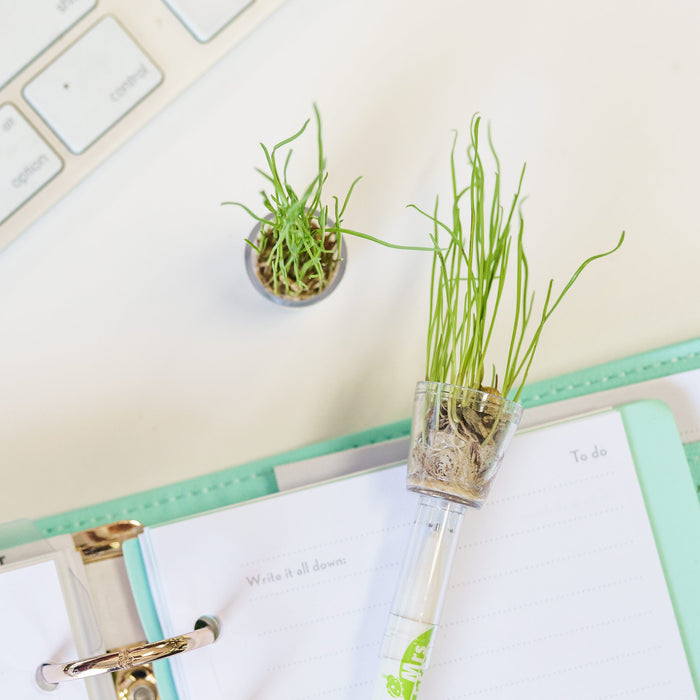 Terrarium Pen