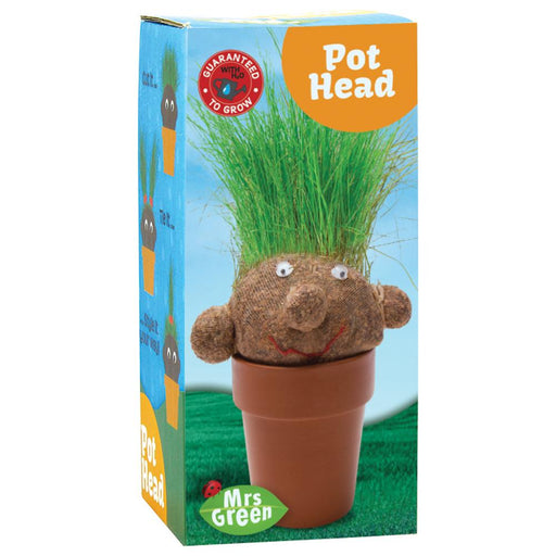Pot Head | Grass Growing Plant