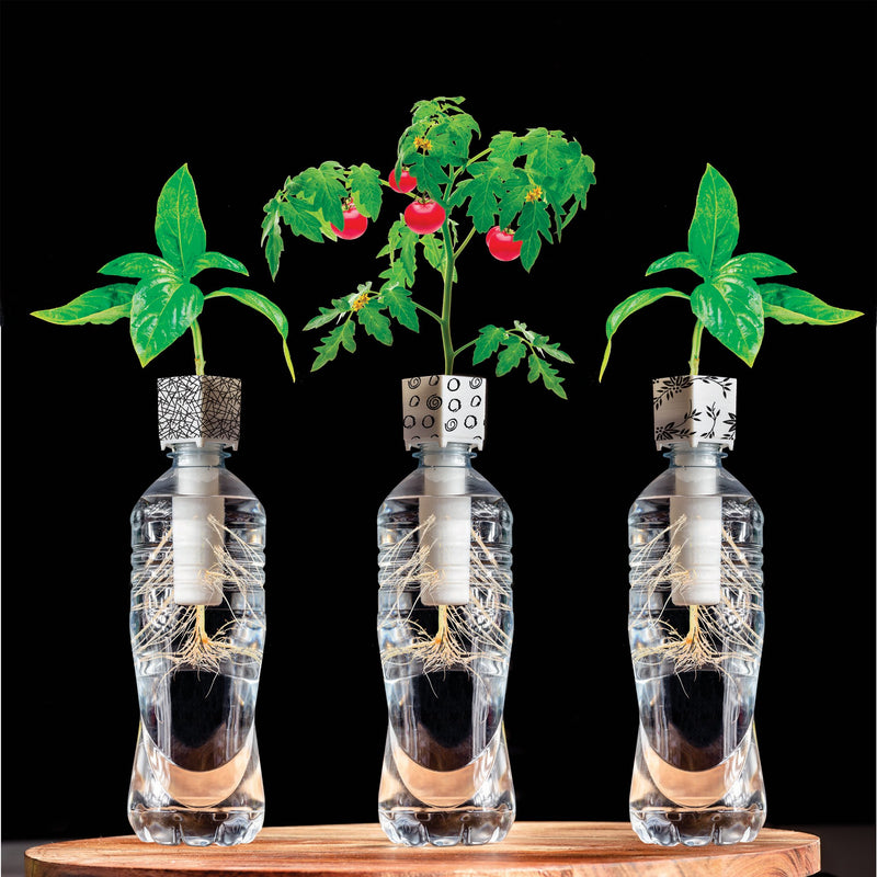 Bottle Grower
