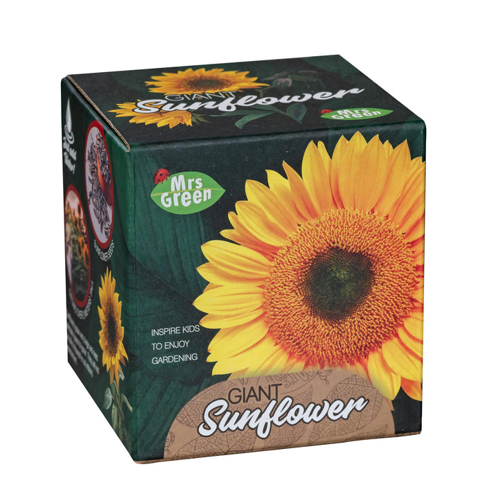 Grow your own Giant Sunflower