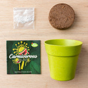 A small green potted Carnivorous plant sits on wooden background 