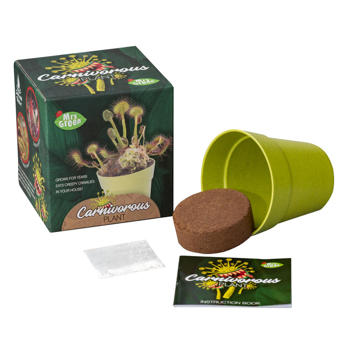 Grow Your own Carnivorous Plant