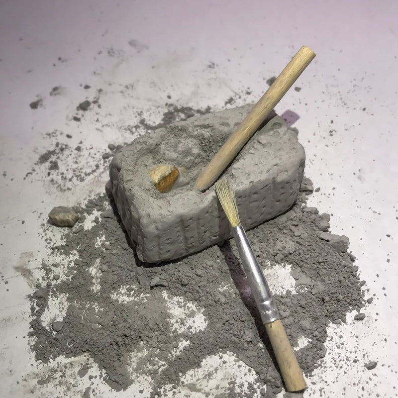 Mini Fossil Dig Paleo Kit