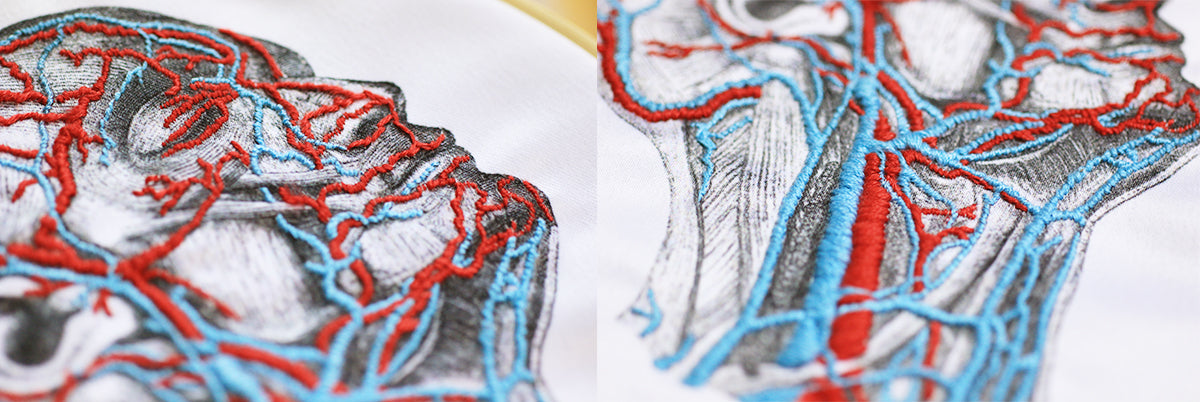 DIY Blood Vessel Embroidery Kit