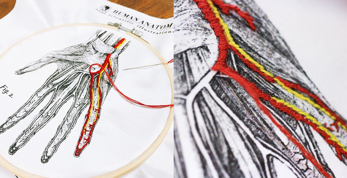 DIY Blood Vessel Embroidery Kit