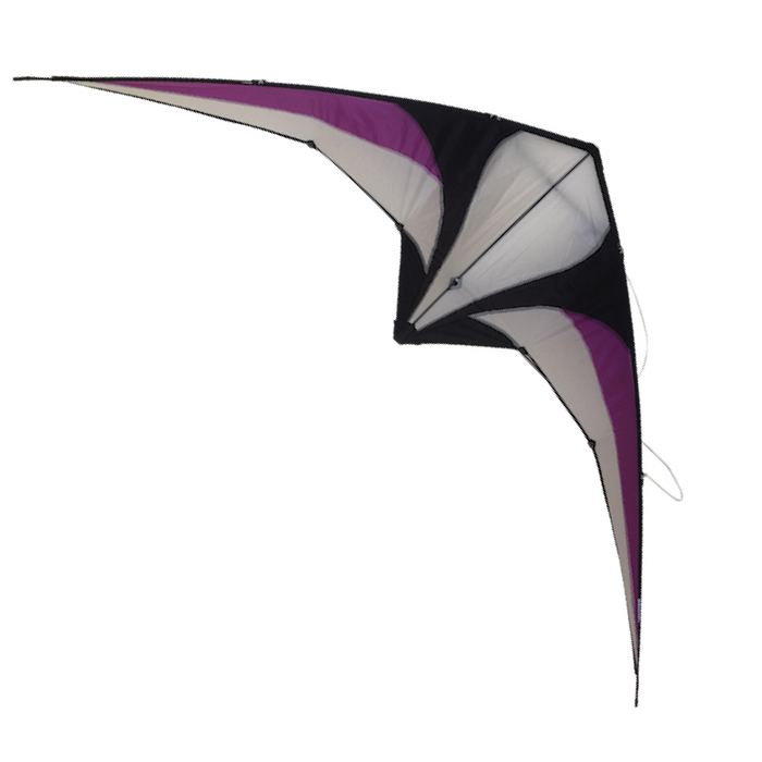 High As A Kite | 2-String Raptor