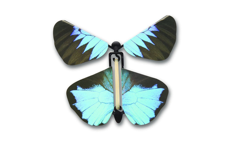 Wind Up Australian Butterflies blue