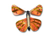 Wind Up Australian Butterflies orange