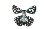 Wind Up Australian Butterflies black