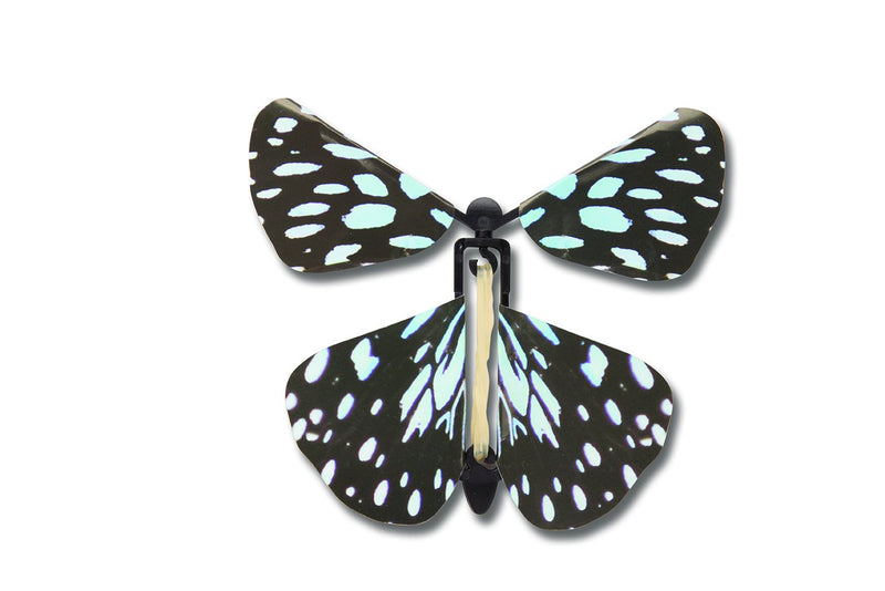 Wind Up Australian Butterflies black