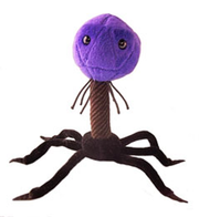 T4 | Escherichia Virus Giant Microbe