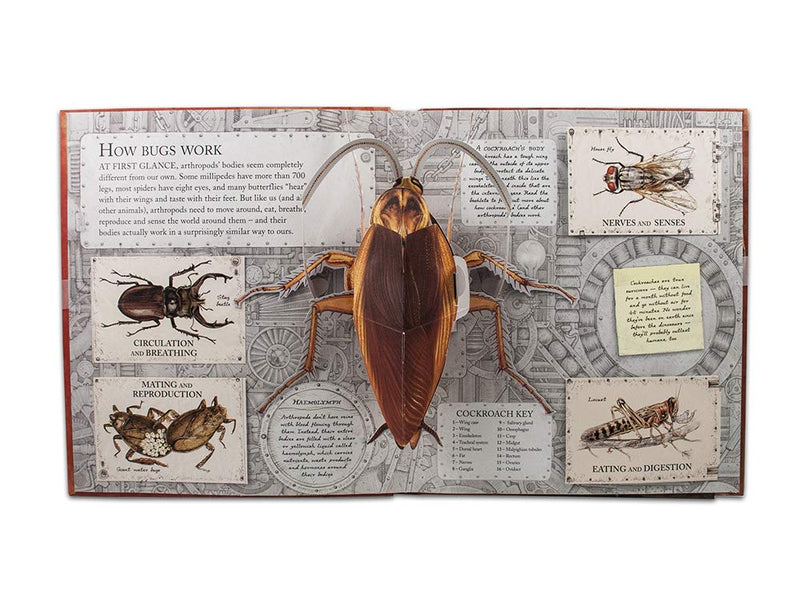 Bugs A Pop-up Journey into the World of Insects