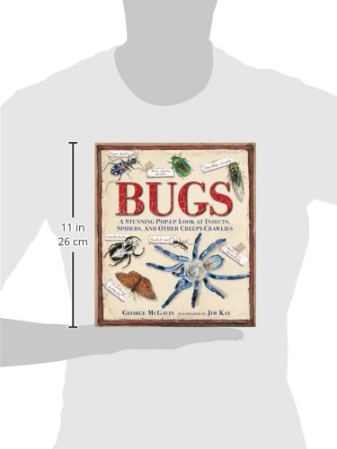 Bugs A Pop-up Journey into the World of Insects