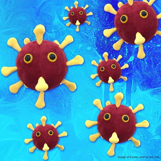 Coronavirus COVID 19 (SARS CoV 2)