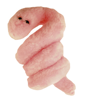 Gonorrhea stuffed hot sale animal