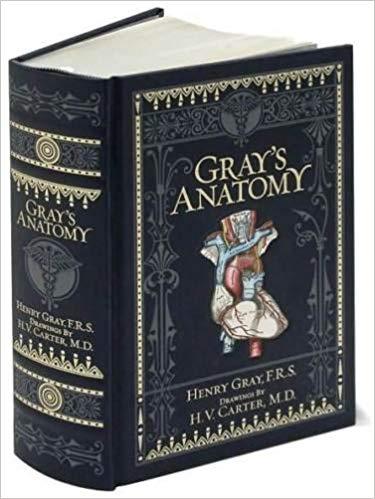 Barnes And Noble | Grays Anatomy Henry Gray P.r.s