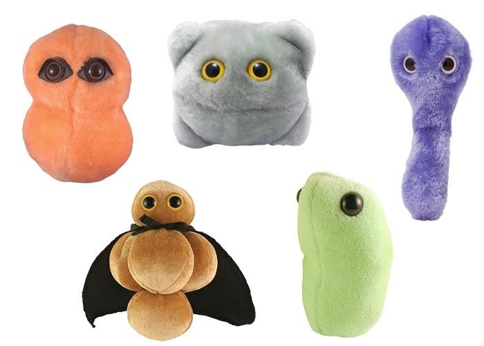 Super Sick Day Gift Box | Giant Microbes