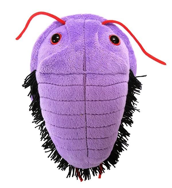 Trilobite | Giant Microbes