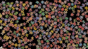 Clemens Habicht 1000pce Vibrating Colours pieces